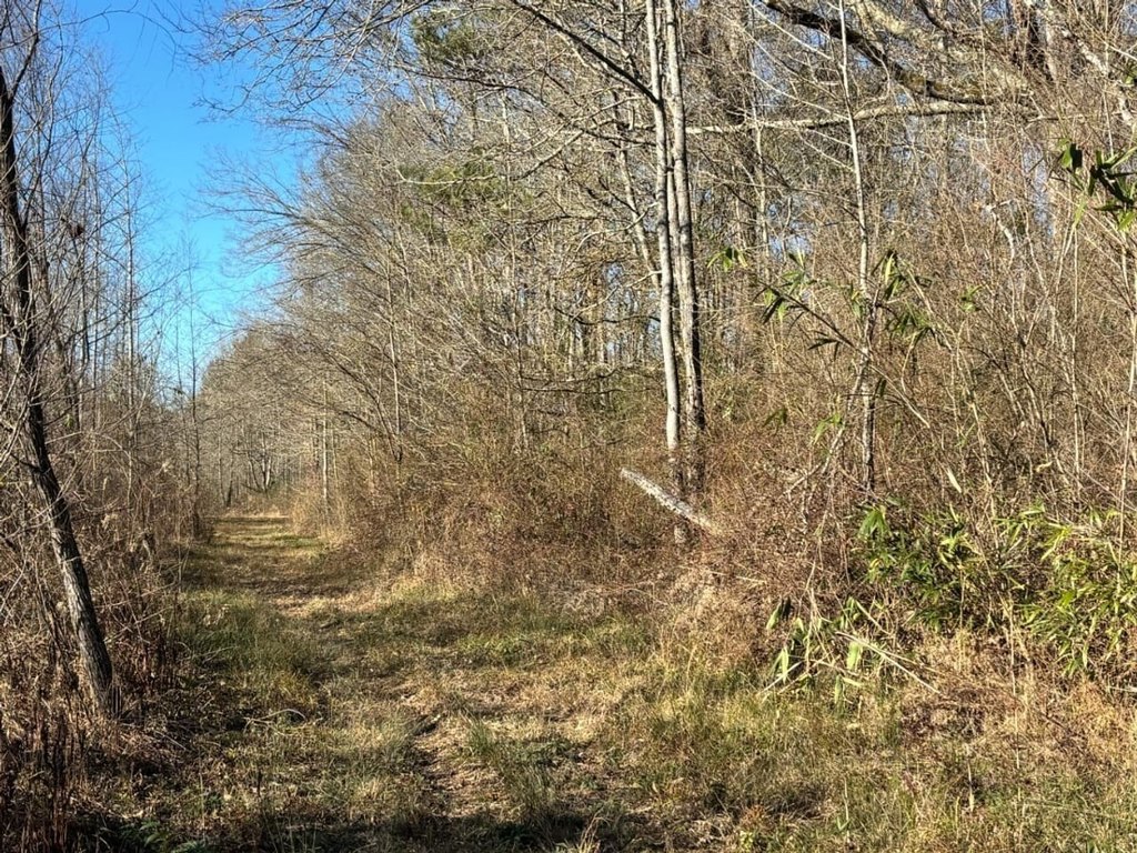 Picture 29