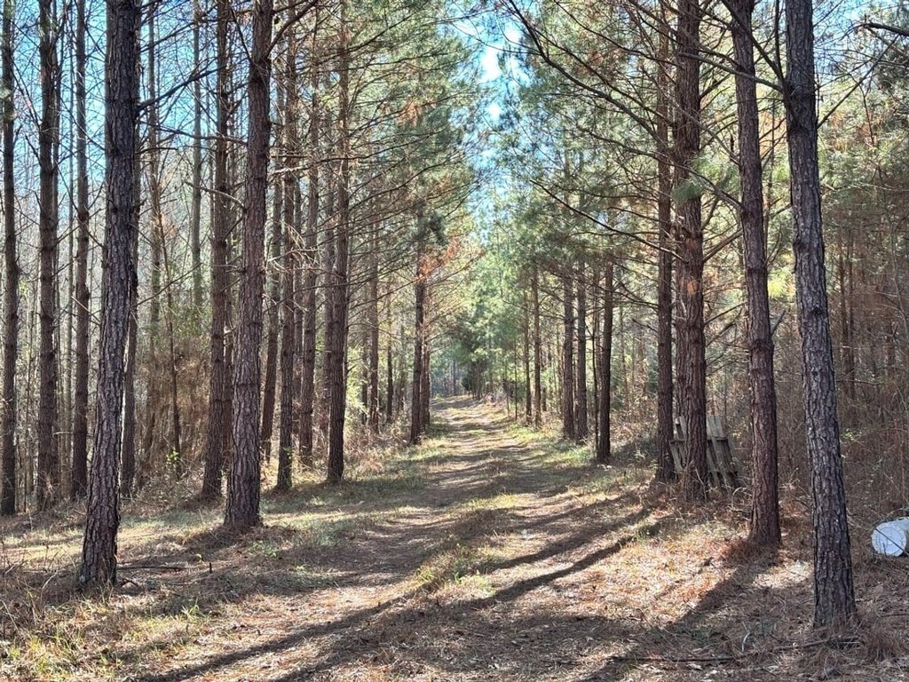 Picture 9