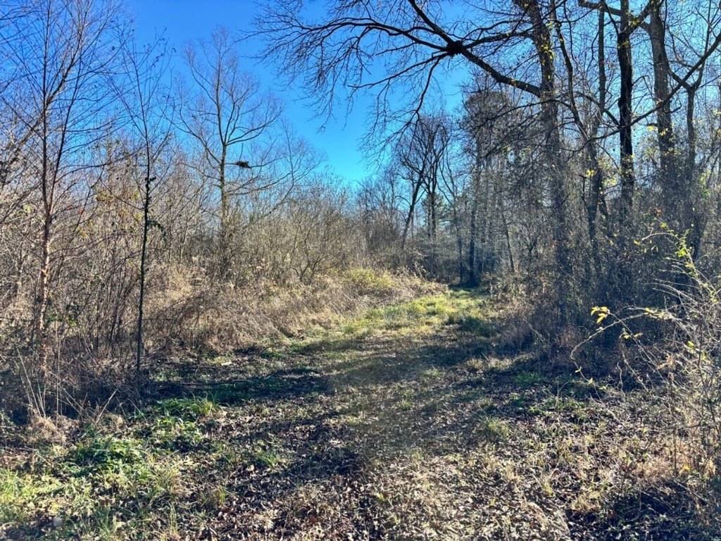 Picture 22