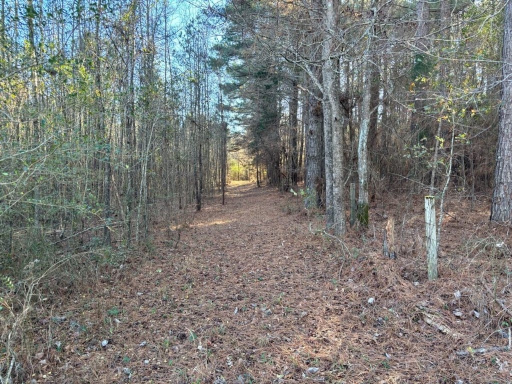 Picture 8
