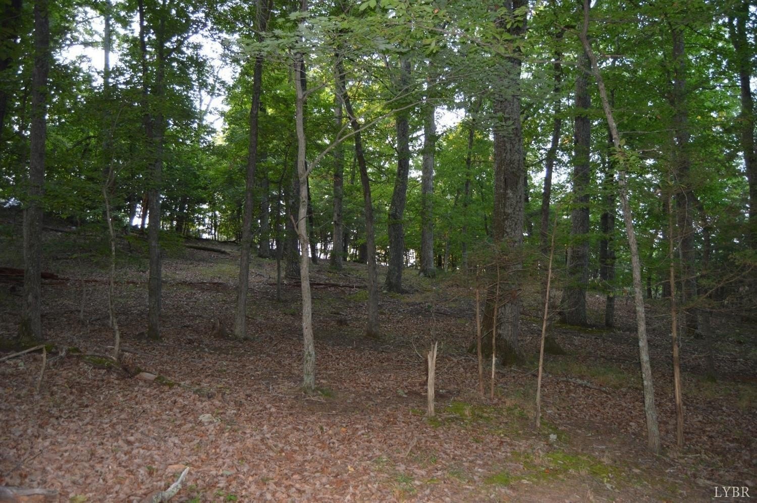 Goode, VA Land Opportunity