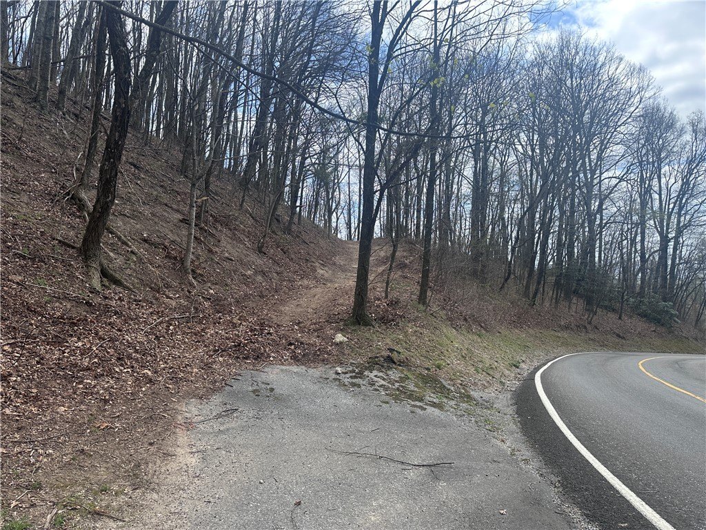 Landrum, SC View Lot