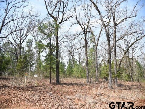 Wooded Cul-de-Sac Residential Lot