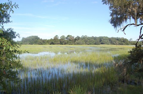 Residential Land with Marsh Views
