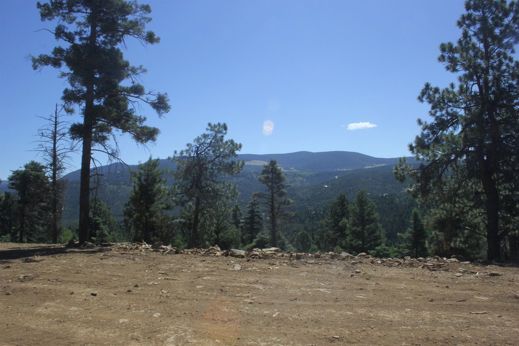 Picture 3