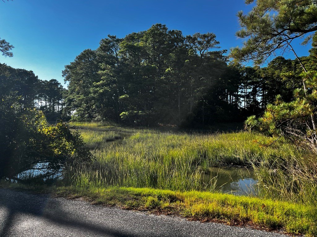 Picture 39