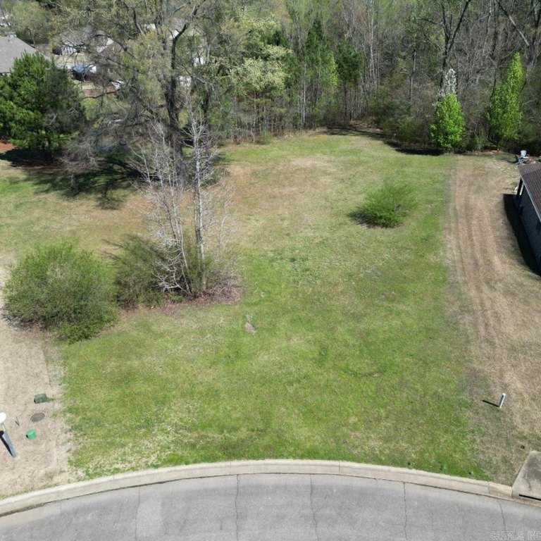 Picture 4