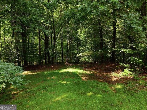 LAND - Canton, GA