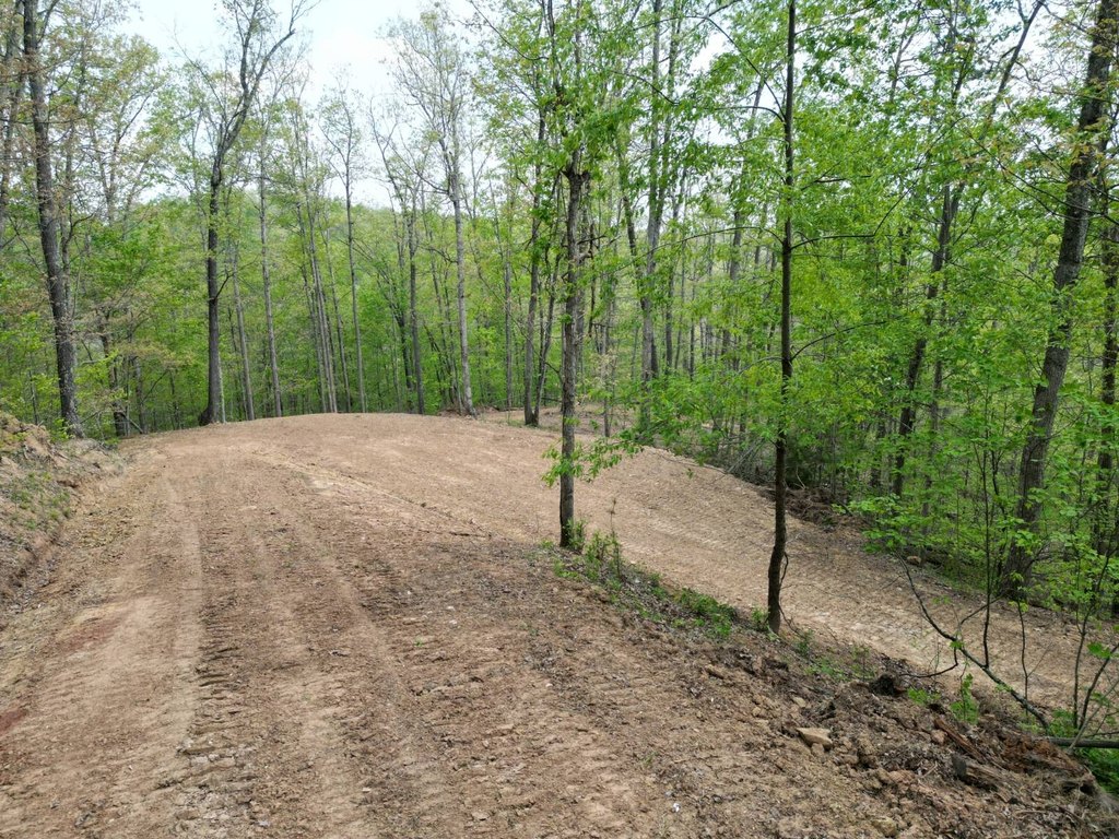 Picture 5