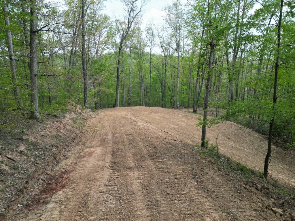 Picture 4