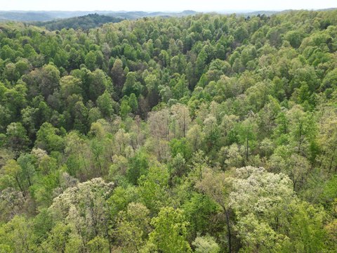Vacant Land - Big Bend, WV