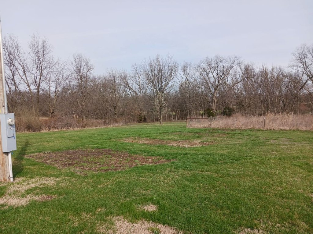 Picture 6