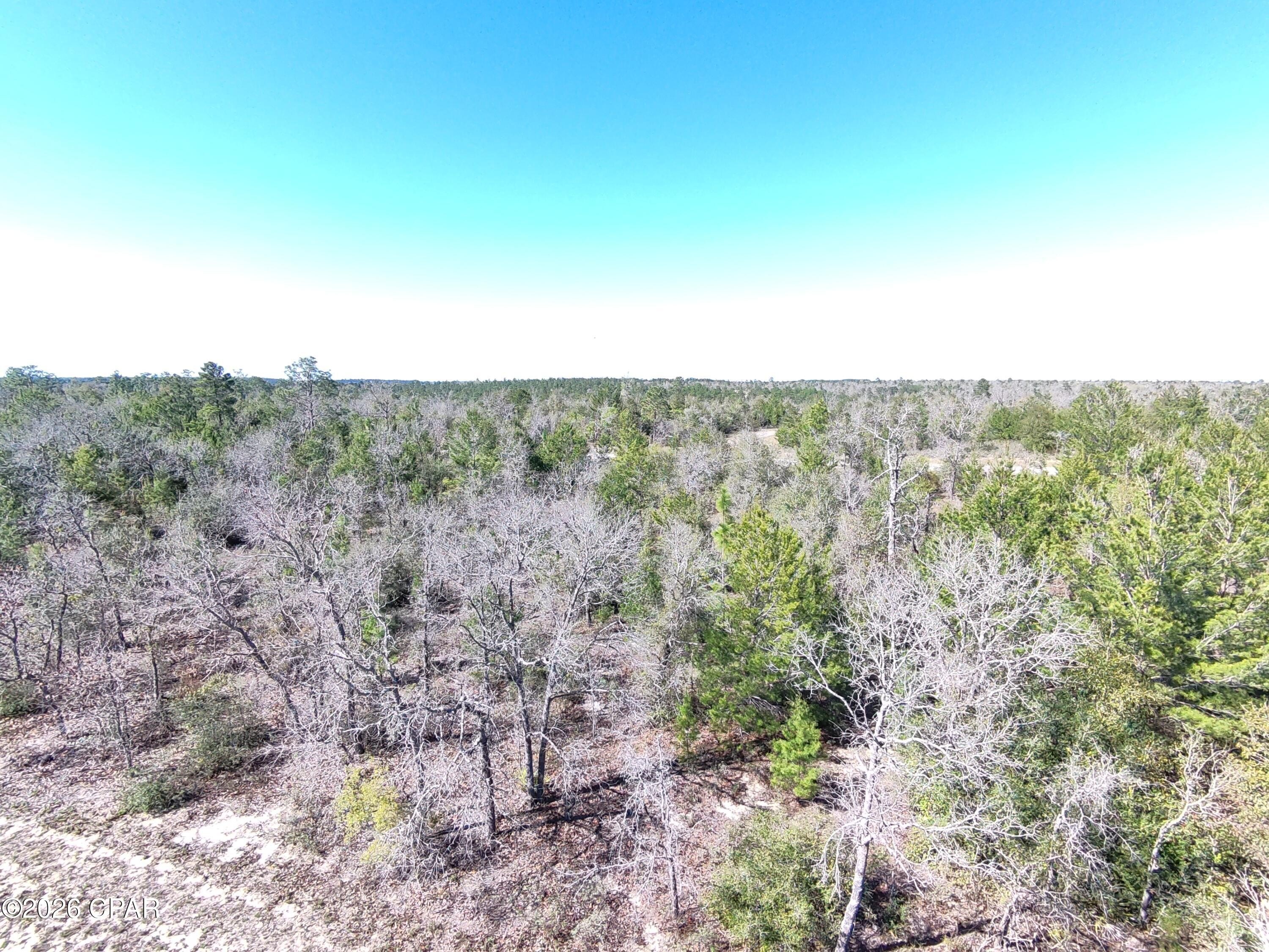 Residential Lot in Sunny Hills