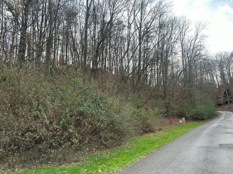 Residential Land in Quail Ridge