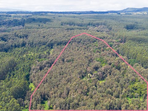 Honokaa Land with Ocean Views