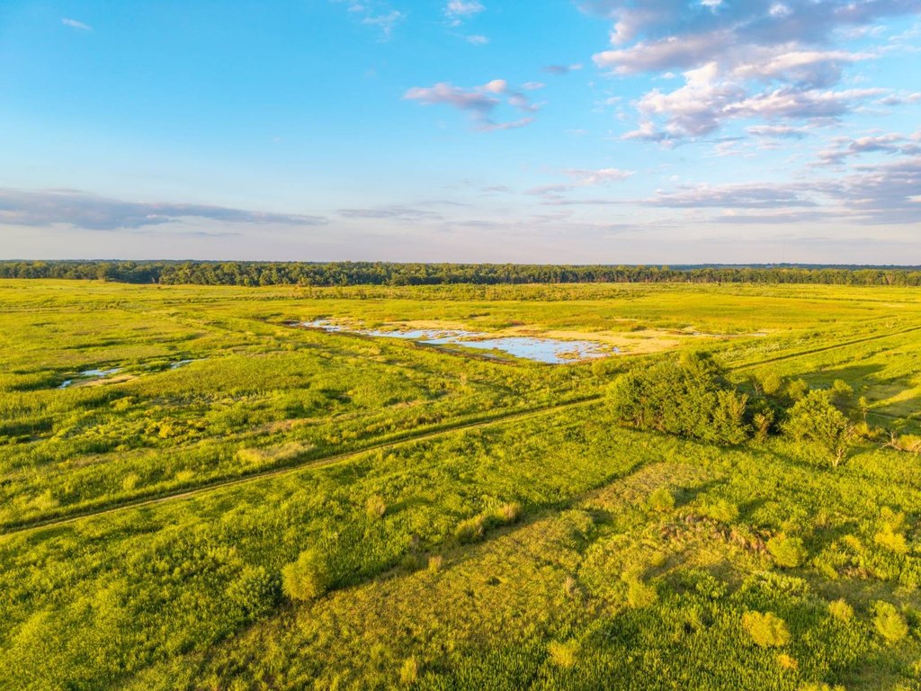 Picture 18
