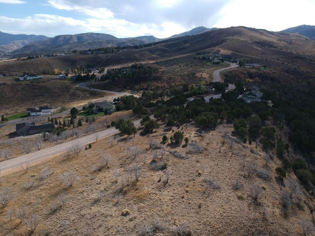 Picture 17