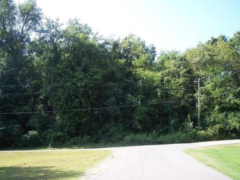 Muscle Shoals Land For Sale