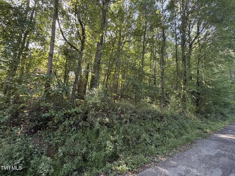 Land, Shady Valley, TN