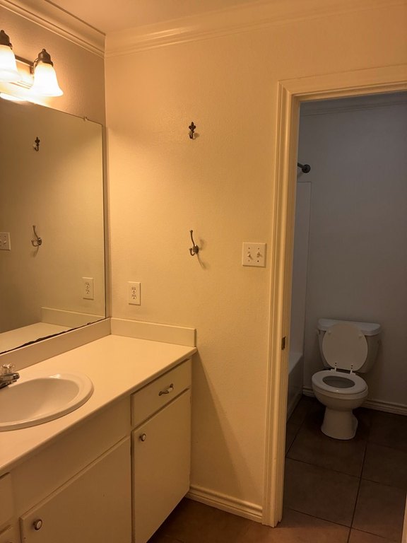Picture 19