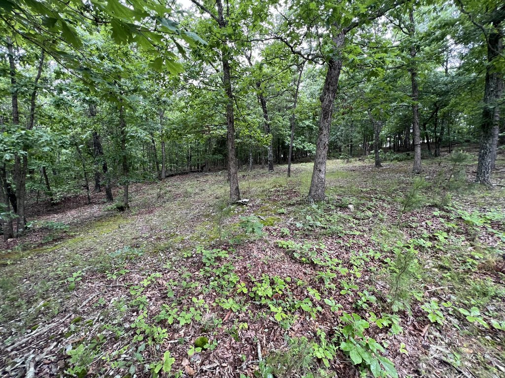 Picture 11