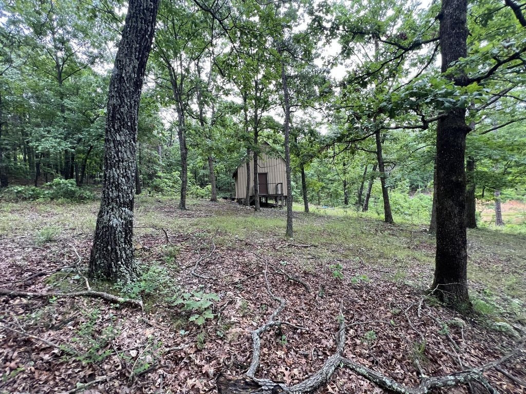 Picture 14