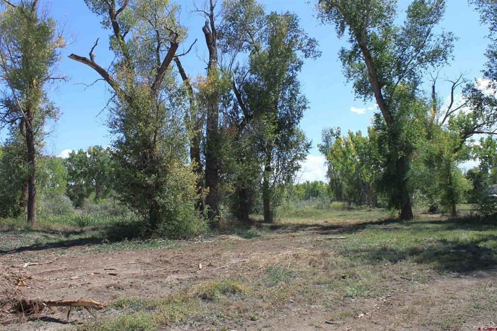 Picture 12