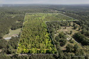 35.8 Acres Wooded Land Tract
