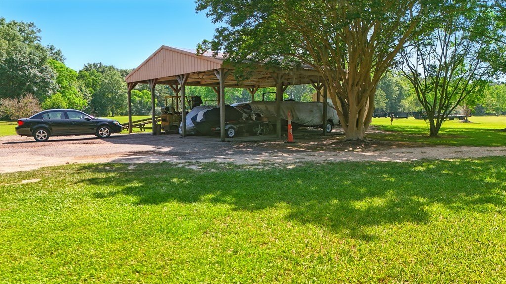 Picture 8