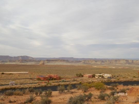 Picture 8