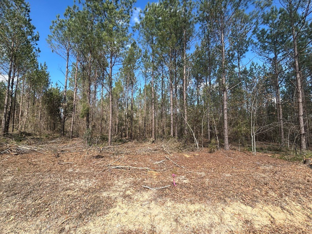 Picture 14