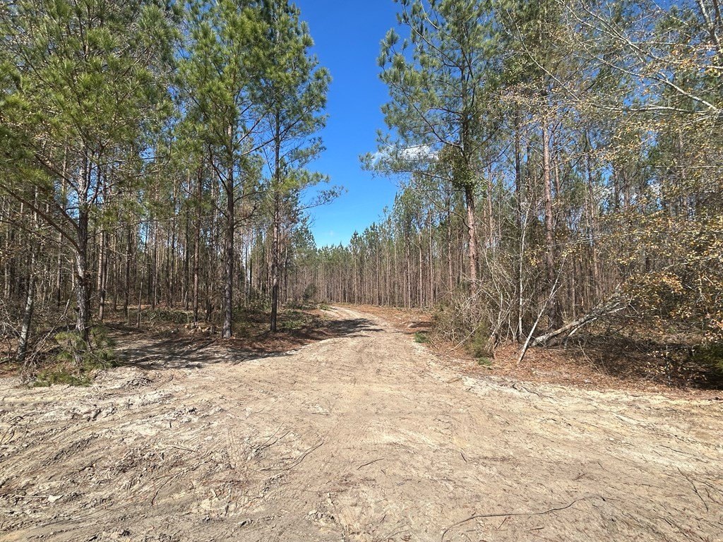 Picture 23