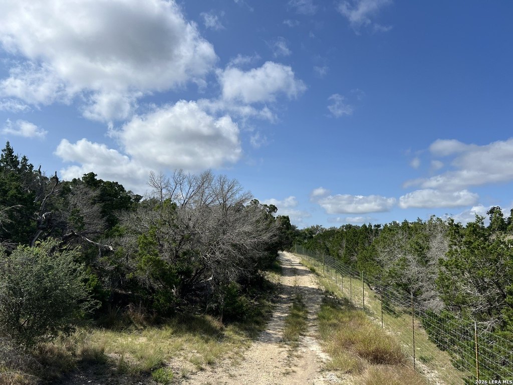 Picture 15