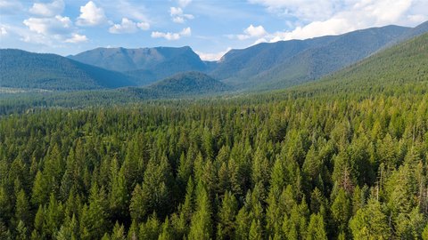 Mountain Farmland Tract