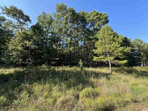 LAND - Heber Springs, AR