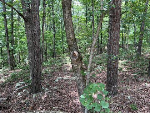 LAND - Fairfield Bay, AR