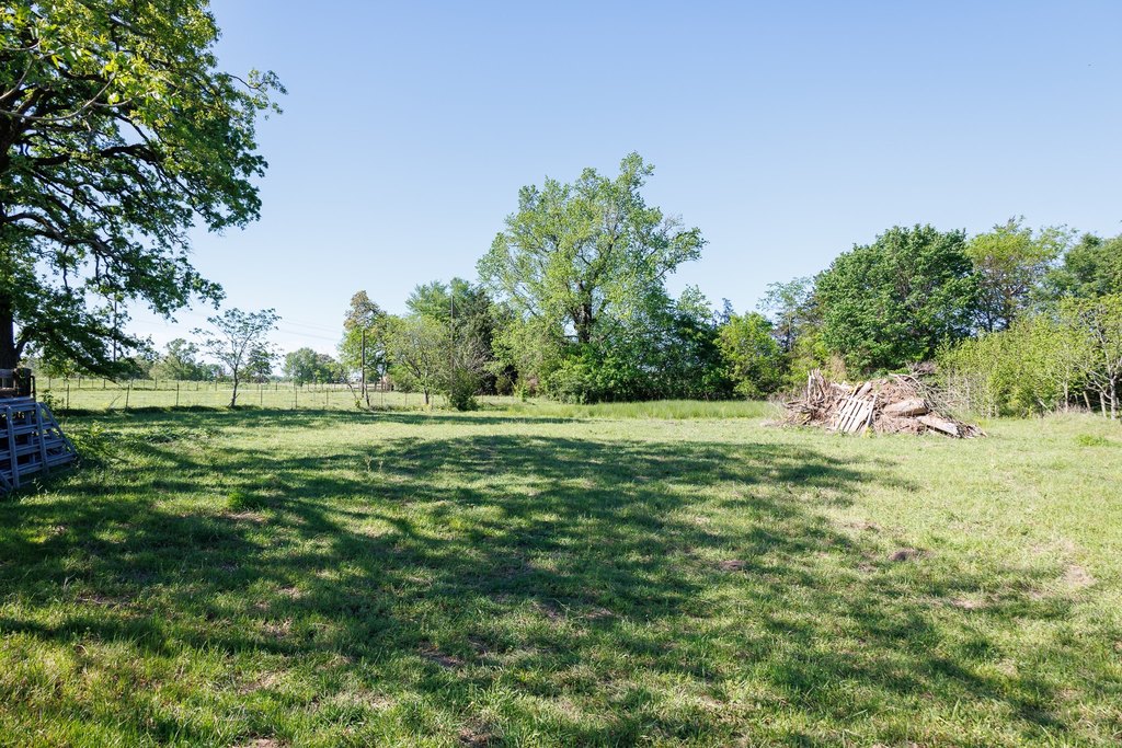 Picture 16