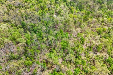Wooded Hunting Land Tract