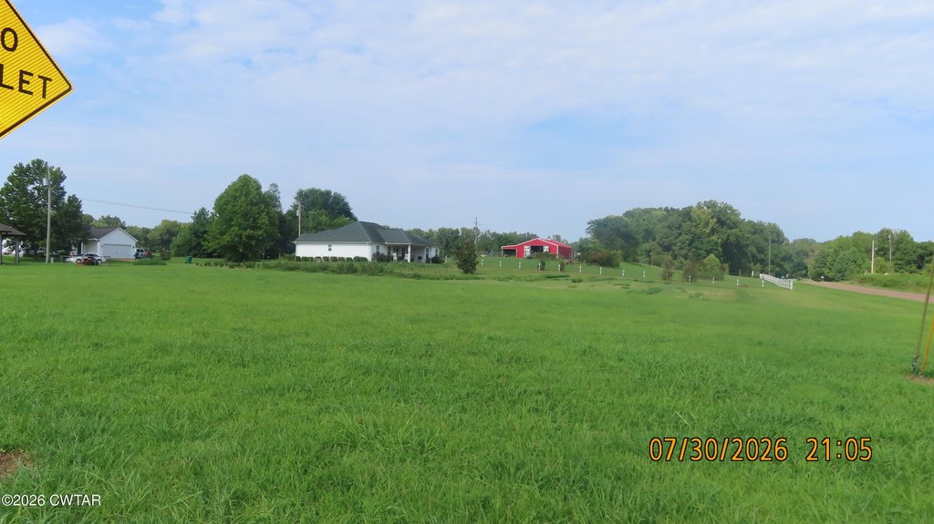 Picture 8