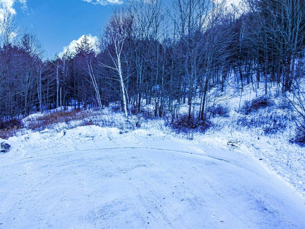 Picture 8