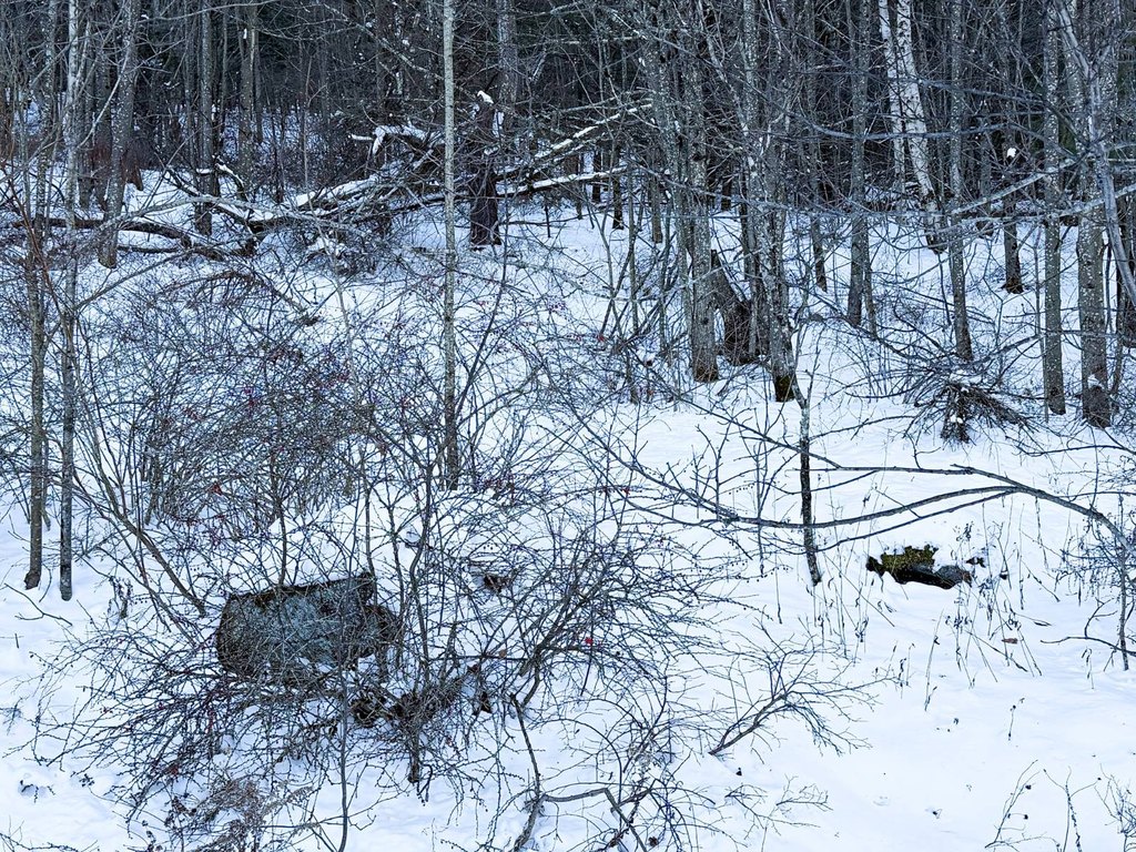 Picture 5