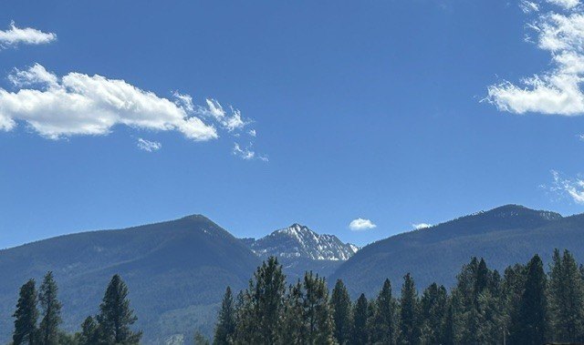 Picture 4