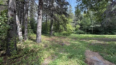 LAND - Caribou, ME