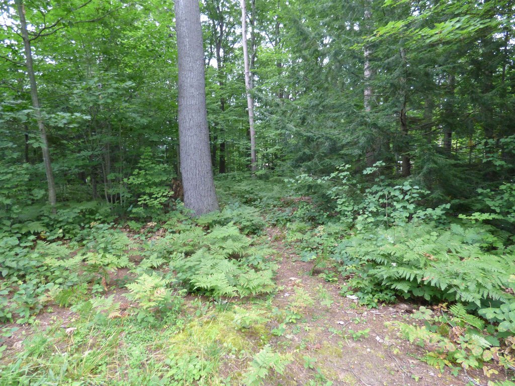 Picture 4