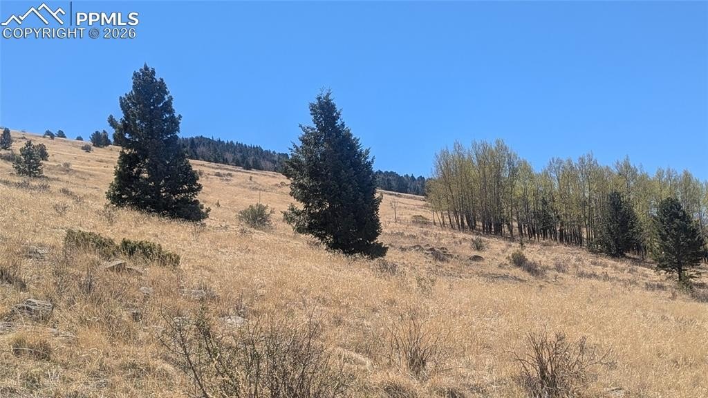 Land with Mountain Views
