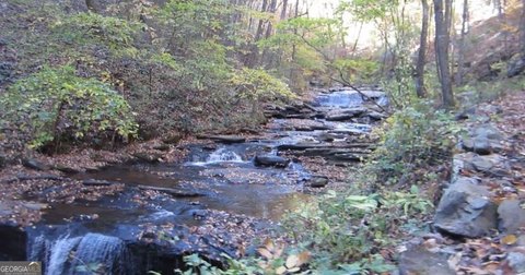 Ellijay Land with Mountain Views