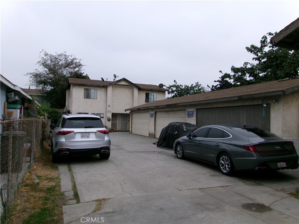 Picture 6