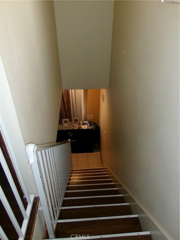 Picture 41