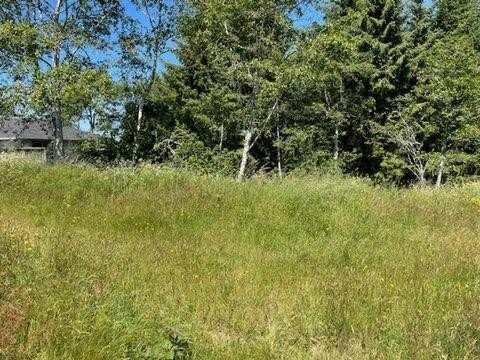 Eureka Corner Lot Opportunity