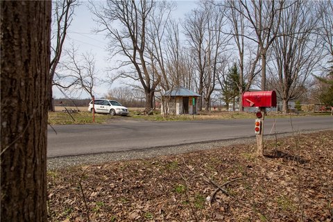 Nature Retreat Near Trumansburg